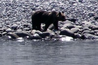 知床遊覧船 世界自然遺産 断崖クルーズ