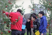 深川観光案内所