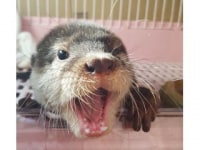 北野坂　か和うそ　Cafe