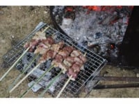 川遊び民宿かわせみ