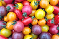 石川トマト農園