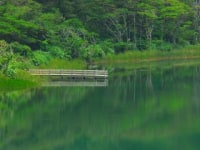 三宅島ネイチャーツアーmahana