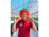 @FARM〜いちご狩り・トマト生産&直売〜