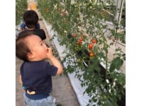 さいたま榎本農園