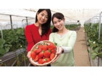 ガイヤファーム