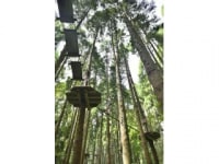 フォレストアドベンチャー・ターザニア