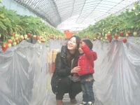 大地　下妻農場