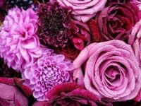 フラワーブティック DR Style Euphoric