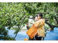 若狭UMEアクティビティ