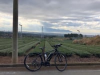 コナステイ伊豆長岡