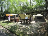 県立もみのき森林公園