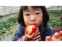 果実の国　カップルズ