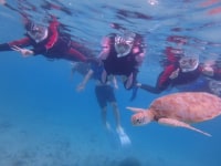 宮古島スノーケル　るり色LAB