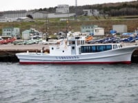 サロマ湖アザラシ観光船