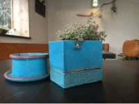 森のcafe　さりょう