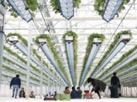 グリナリウム淡路島