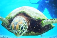 マリンサポートタイド・宮古