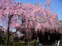 愛都交通株式会社