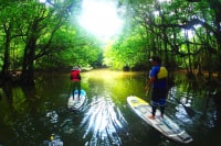 ANchan Tours 西表島