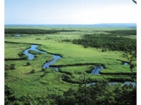 釧路湿原やちの会