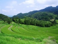 鴨川観光プラットフォーム