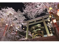 観光まちづくりネットワーク鬼怒川