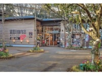 ザ・アミーゴスメイカーズピア店