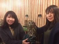 ふくろうの家族