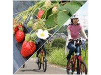 一般社団法人　紀の川フルーツ観光局