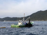 室戸市観光協会