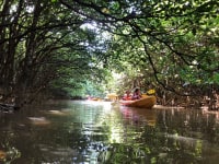 ハーモナイズ。