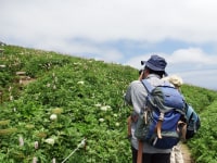 利尻・島ガイドセンター