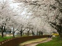 加治川治水記念公園