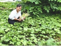 山菜じゅうべえ