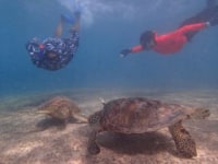 宮古島ふりーふりー