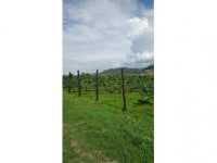 ゆっくりずむ　北海道