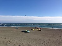 エックスフライ