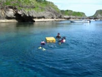 ピンクマーリンクラブ