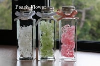 ハーバリウム&amp;ジュエリーバッグ教室ピーチフラワー