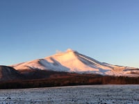 浅間牧場スノーパラダイスアスパラ