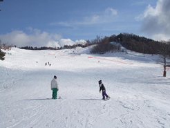 しらおスキー場