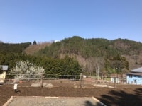 都留市戸沢の森和みの里キャンプ場