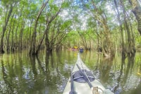 南風見ぱぴよん