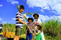 オルタナティブファーム宮古