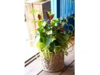 花スリール フラワーアレンジ(田川教室)