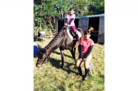 ホースフレンドファーム