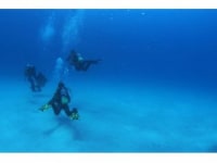 レーブ(横浜店)