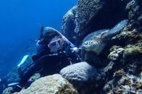 ブランニューシー