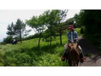 ボナンザ ライディング