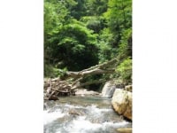 特定非営利活動法人森人くらぶ